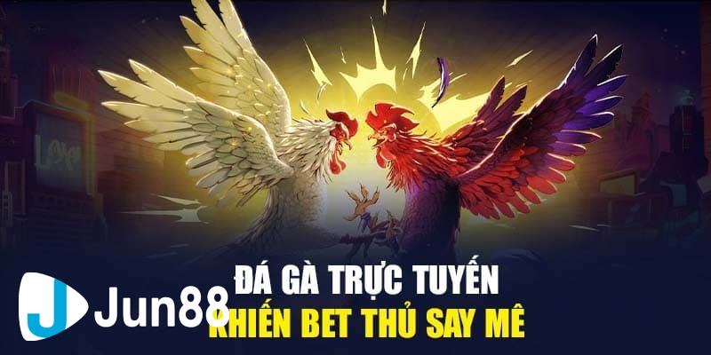 Tổng hợp các loại kèo tỷ lệ cược đá gà trực tuyến phổ biến