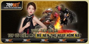 Trực tiếp đá gà - Top ưu điểm mới mẻ nên thử ngay hôm nay