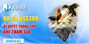 bi quyet thang lon khi tham gia da ga vss388 1