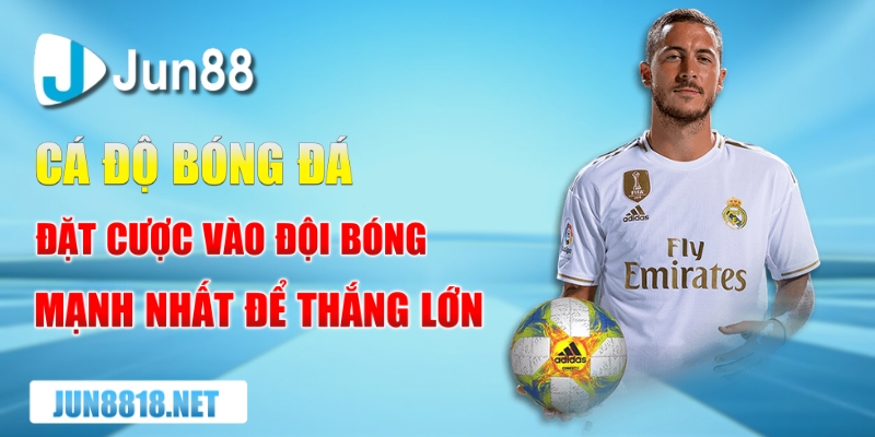 ca do bong da dat cuoc vao doi bong manh nhat de thang lon