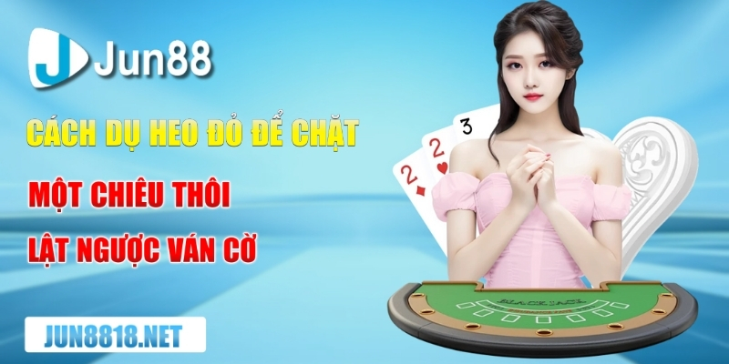 cach du heo do de chat – mot chieu thoi lat nguoc van co