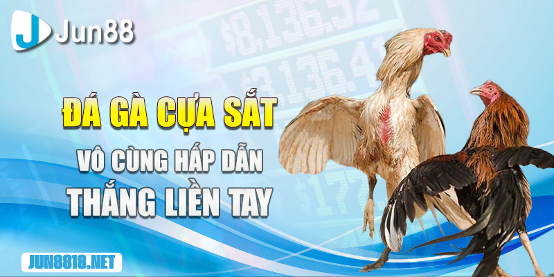 da ga cua sat vo cung hap dan thang lien tay