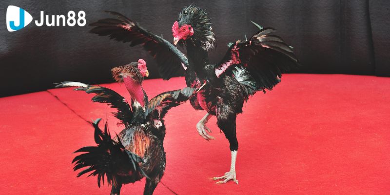 Một số lợi ích bạn cần biết khi tham gia