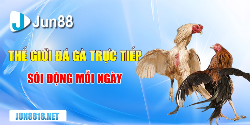 the gioi da ga truc tiep soi dong moi ngay 1
