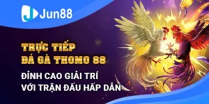 truc-tiep-da-ga-thomo-jun88-dinh-cao-giai-tri-voi-tran-dau-hap-dan