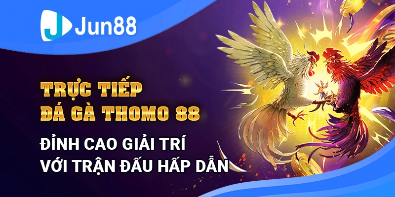 truc-tiep-da-ga-thomo-jun88-dinh-cao-giai-tri-voi-tran-dau-hap-dan