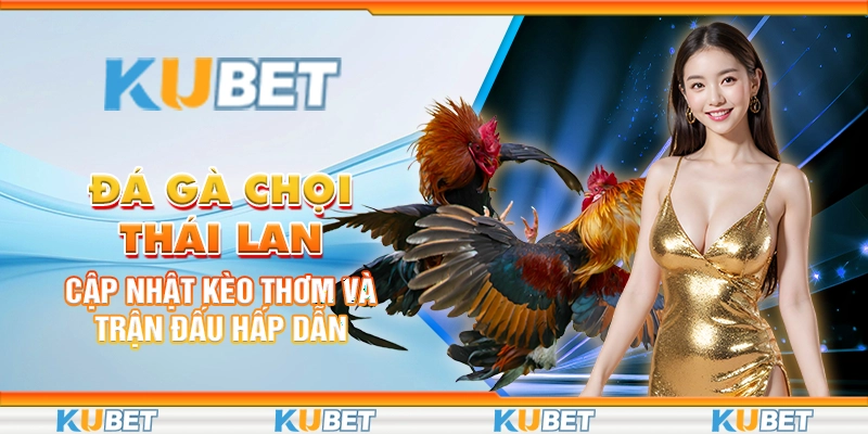 Đá gà chọi Thái Lan