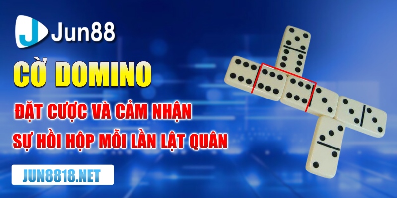 co domino dat cuoc va cam nhan su hoi hop moi lan lat quan