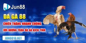 da ga 88 chien thang nhanh chong voi nhung tran da ga kich tinh