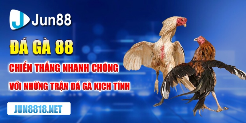da ga 88 chien thang nhanh chong voi nhung tran da ga kich tinh