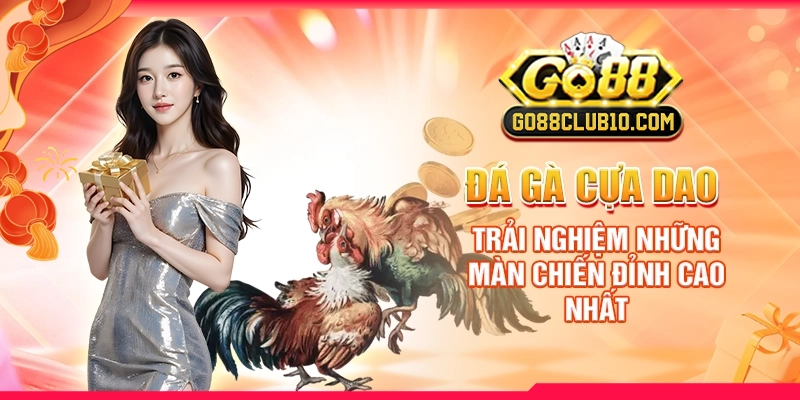 Đá Gà Cựa Dao: Trải Nghiệm Những Màn Chiến Đỉnh Cao Nhất