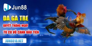 da ga tre quyet thang ngay tu cu vo canh dau tien