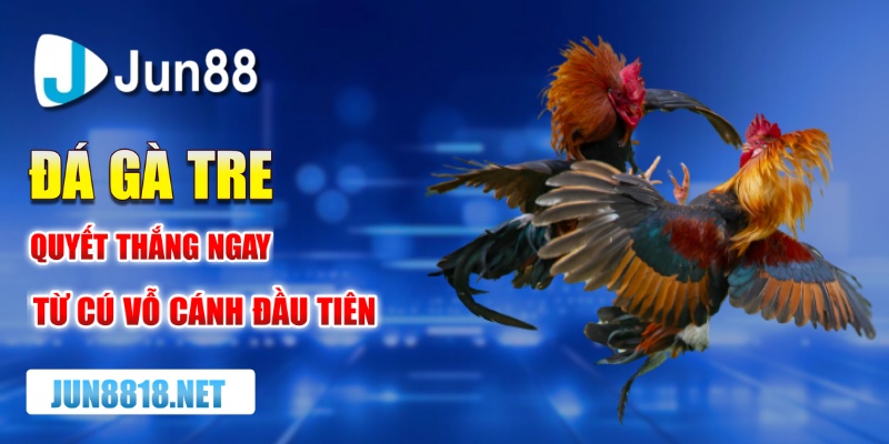 da ga tre quyet thang ngay tu cu vo canh dau tien