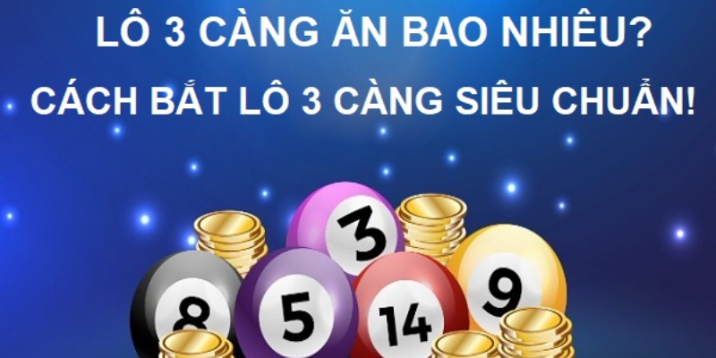 Khái niệm và đặc điểm lô ba càng chuẩn chỉ