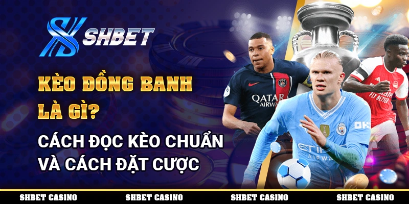 Kèo Đồng Banh Là Gì? Cách Đọc Kèo Chuẩn Và Cách Đặt Cược 4 Kèo Đồng Banh