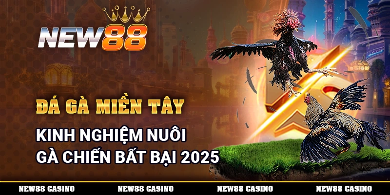 Đá Gà Miền Tây