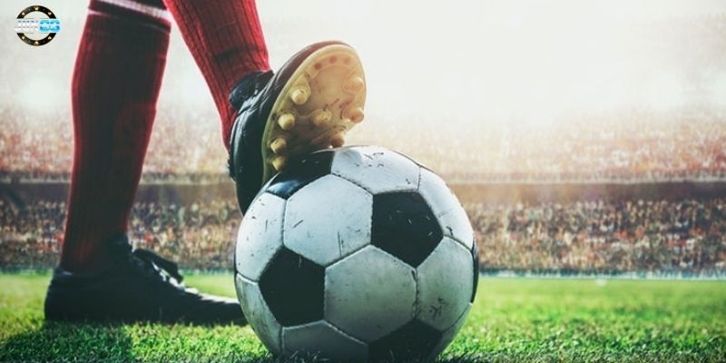 anh 3 2025 02 10T212304.092