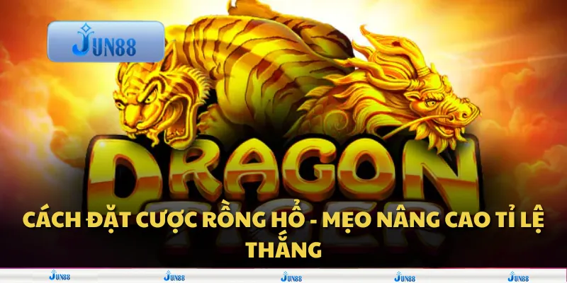 Cách đặt cược rồng hổ - Mẹo nâng cao tỉ lệ thắng