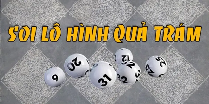 Phương pháp xác định và phân tích cầu quả trám