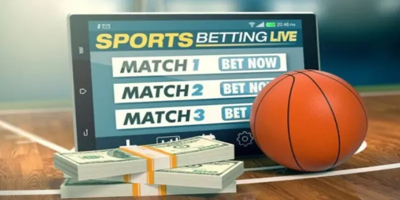 Chiến lược cược bóng rổ nào mang lại lợi nhuận cao?