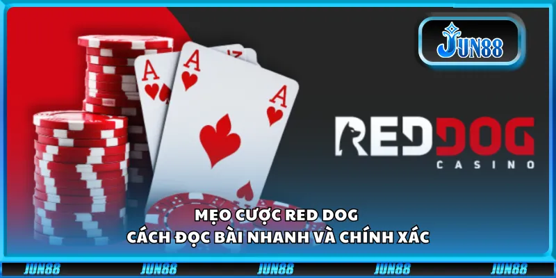 Mẹo cược Red Dog - Cách đọc bài nhanh và chính xác