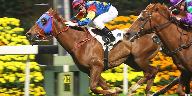 Tìm hiểu các hình thức cược đua ngựa phổ biến