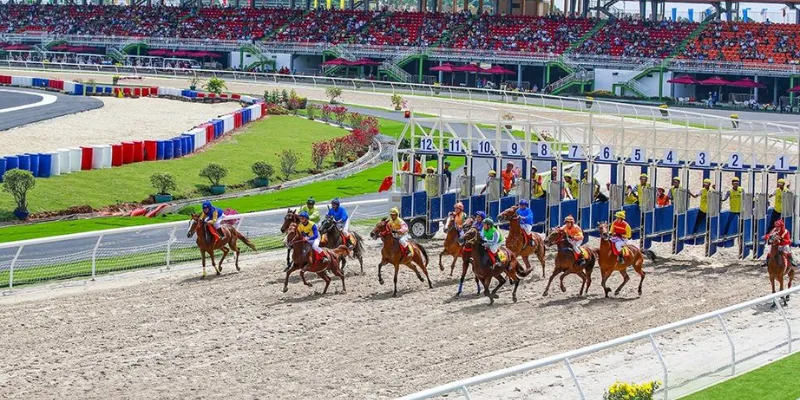 Cách đọc tỷ lệ cược và xác định giá trị khi cá cược đua ngựa