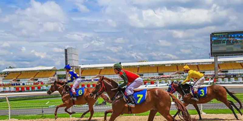 Mẹo đặt cược đua ngựa để tăng cơ hội thắng lớn là gì?