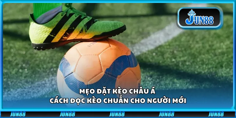 Mẹo đặt kèo châu Á – Cách đọc kèo chuẩn cho người mới